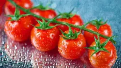 گوجه فرنگی گلخانه ای - لندوکس بزرگترین فروشگاه آنلاین شهر زنجان