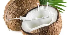 میوه و سبزیجات