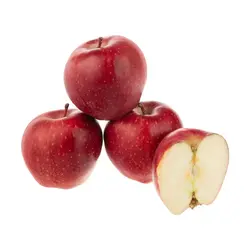 میوه و سبزیجات