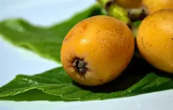 میوه و سبزیجات