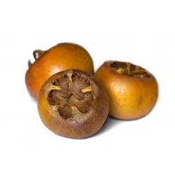میوه و سبزیجات