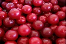 میوه و سبزیجات