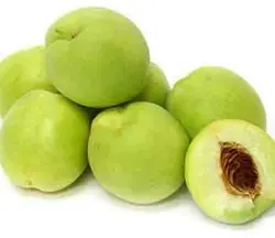 شلیل شمس سفید