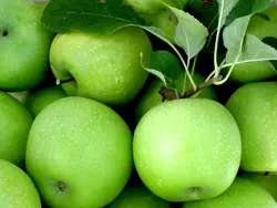 میوه و سبزیجات