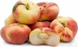 میوه و سبزیجات