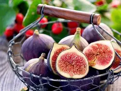 میوه و سبزیجات