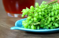غوره انگور