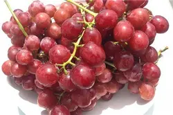 میوه و سبزیجات