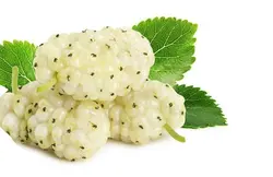 میوه و سبزیجات