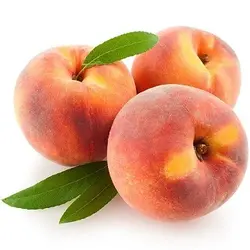 میوه و سبزیجات
