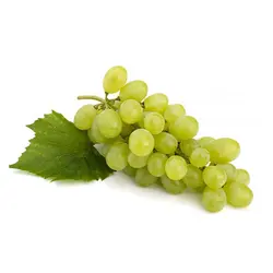 میوه و سبزیجات