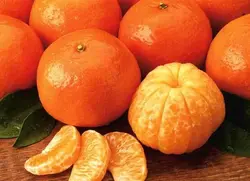 میوه و سبزیجات