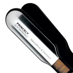 اتو مو پرنسلی PR102AT