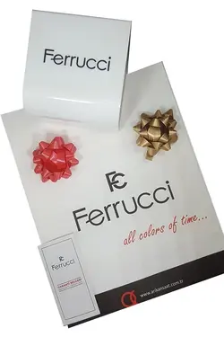 ساعت مچی زنانه استیل با تقویم نقره ای رنگ فروچی Ferrucci (ساخت ترکیه)