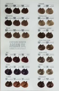 رنگ مو ترام کالر سری قرمز شماره 6.6 R6 حجم 100 میلی لیتر