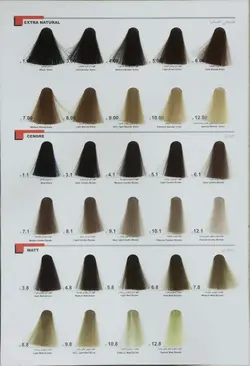 رنگ مو دوماسی سری طبیعی شماره 1.00 حجم 120 میلی لیتر