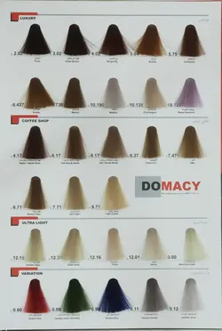 رنگ مو دوماسی سری هایلایت شماره 0.00 حجم 120 میلی لیتر