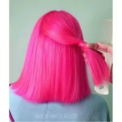 رنگ مو فانتزی BAD GIRL مدل WILD WILD ROSE