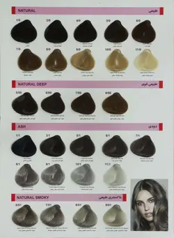 رنگ مو فیدل سری دودی شماره 10.1 حجم 100 میلی لیتر