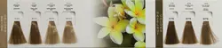 رنگ مو کریتیو سری فندقی شماره 7.78 حجم 100 میلی لیتر
