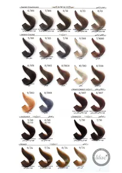 رنگ مو آوایی سری شکلاتی بنفش شماره 6.667 حجم 120 میلی لیتر