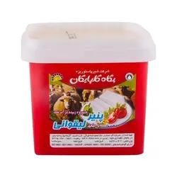 پگاه پنيرIML ليقوان400 گرم 22541F