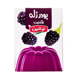 شیبا پودر ژله با طعم بلک بری 100 گرمی