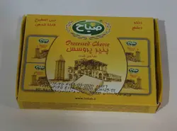 صباح پنیر پروسس بسته بندی 100 گرم چهارگوش