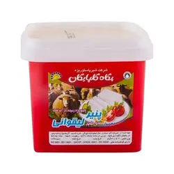 پگاه پنیرلیقوان 400 گرم IML