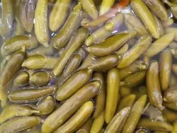 خیارشور سرکه ای ویژه