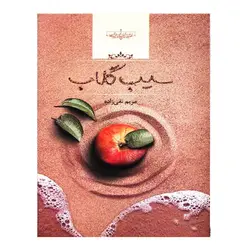 کتاب سیب گلاب اثر مریم تقی زاده انتشارات صدای معاصر
