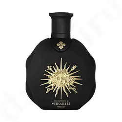 خرید عطر مردانه ورسای پرومنید پور لویی 100 میل ادو تویلت