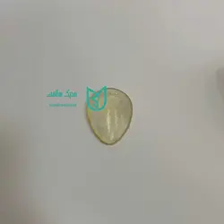 پد متا تارس ادور ador