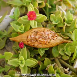 گل سر چوبی شکوفه بهاری