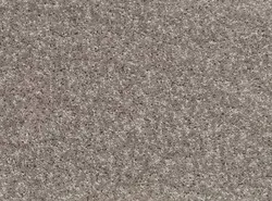 پالاز کد 9111