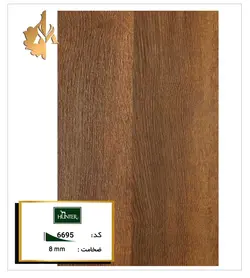 هانتر کد 6695