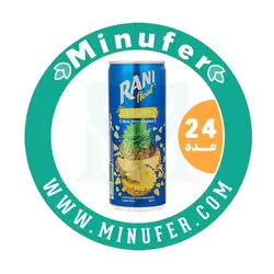 نوشیدنی آناناس رانی حاوی تیکه های واقعی میوه 240 سی سی - باکس 24 عددی