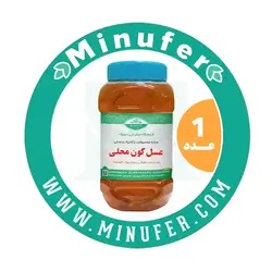 عسل گون محلی ۱٫۴ کیلوگرم