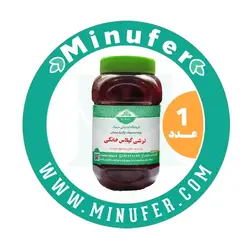 ترشی گیلاس خانگی ۱ کیلویی