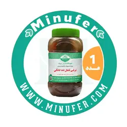 ترشی فلفل خانگی ۱ کیلویی