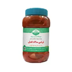 ترشی سالاد فصل خانگی ۱ کیلویی