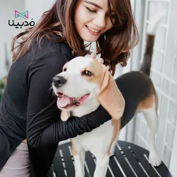 بلوز زنانه کد 203645 - مشخصات و لیست قیمت انواع بلوز زنانه برند اچ اند ام