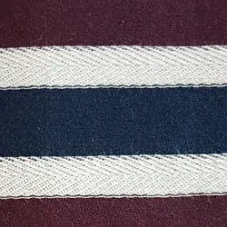 بلوز زنانه چیبو کد 203500 - خرید آنلاین بلوز زنانه مارک Tchibo در مدبینا