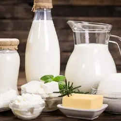 اهمیت سیستم لاکتوپراکسیداز در صنعت لبنیات و پتانسیل کاربرد آن