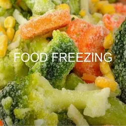 انجماد مواد غذایی