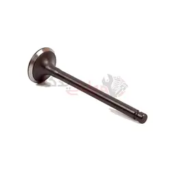 سوپاپ بنزین ( هوا ) آریزو ۵ – تیگو ۵ - فروشگاه آنلاین مولتی یدک