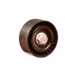 هرزگرد بزرگ تسمه تایم X22 - فروشگاه آنلاین مولتی یدک