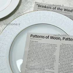 🍗🍛 دیس سپید صدف فله ای چینی زرین | ندهوم