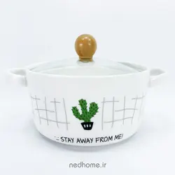 قابلمه تک سرامیکی BOWL - طرح کاکتوس 3