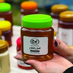 عسل جنگل 500 گرم